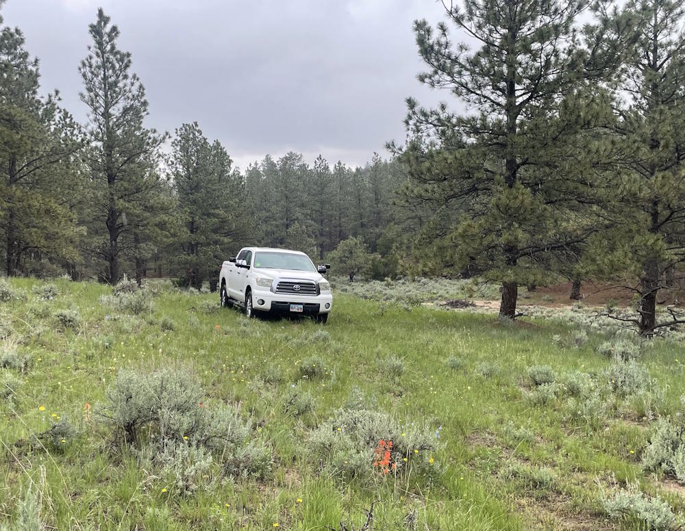 Ridgeline View