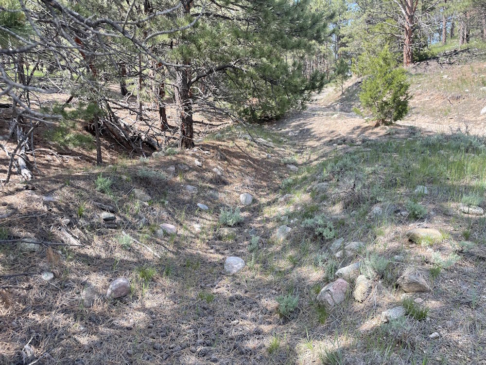 Deep Ruts