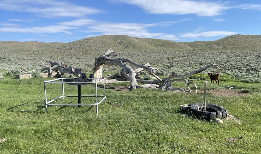Willow Springs