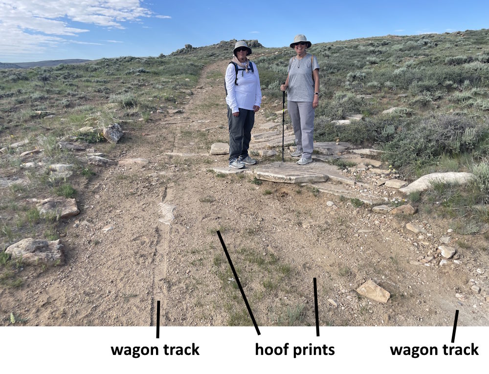 Strata Wagon Tracks