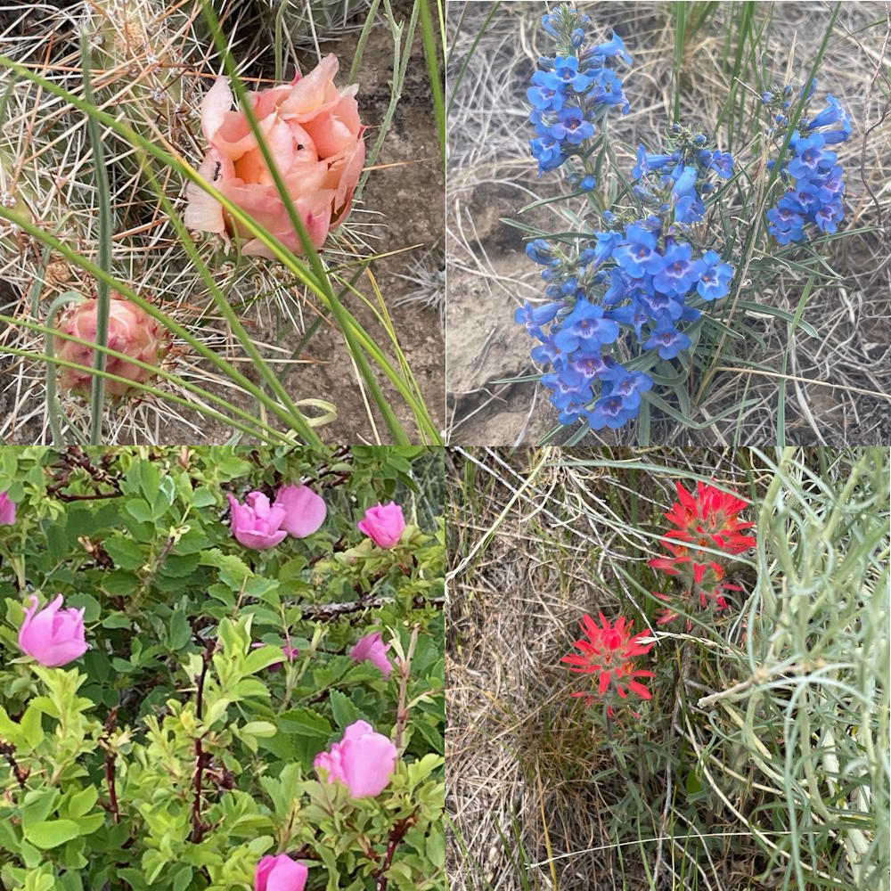 Woodbury's Headed Home