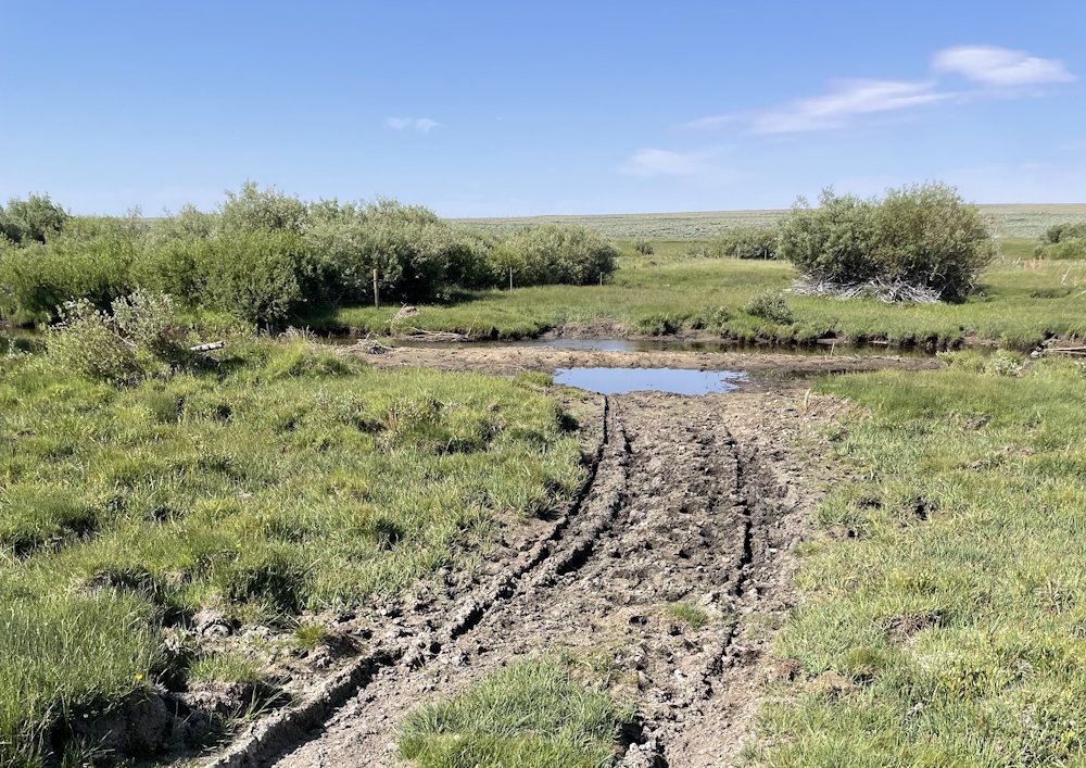 Willow Creek Crossing