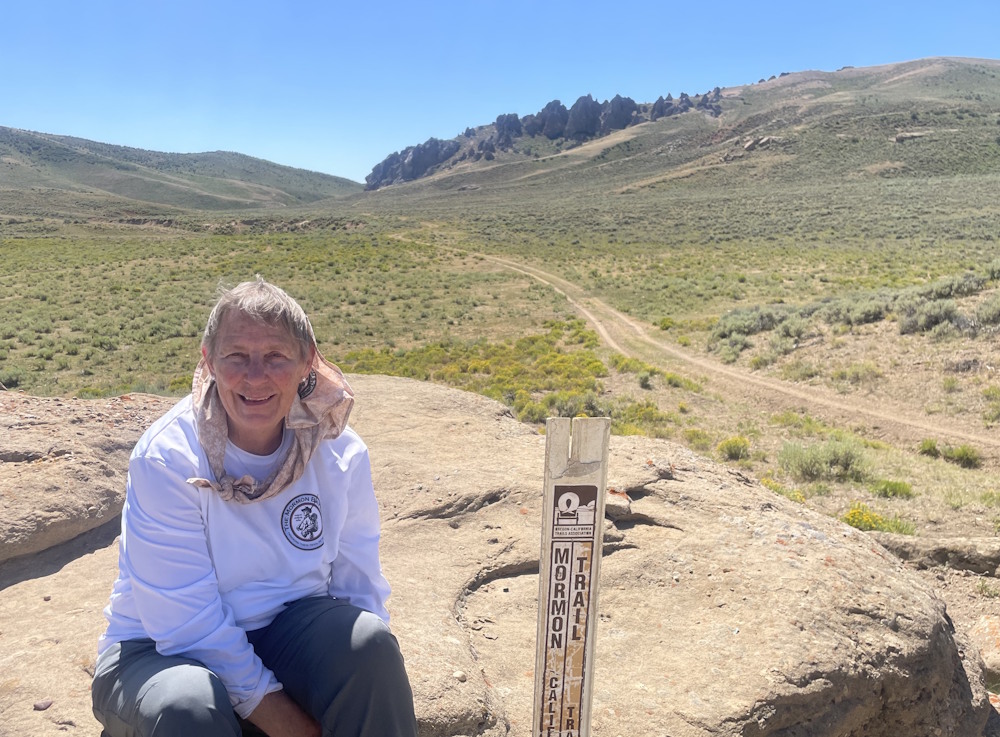 OCTA Marker with Needles