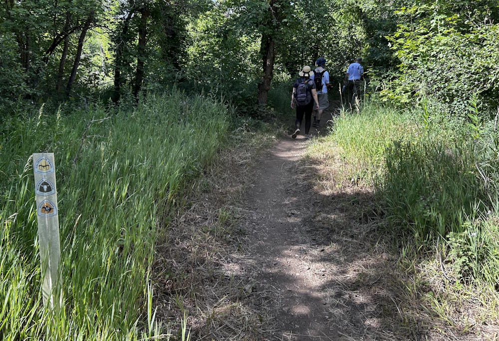 Our Little Group on the Trail